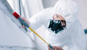 Best Pest Prevention Services  in USA